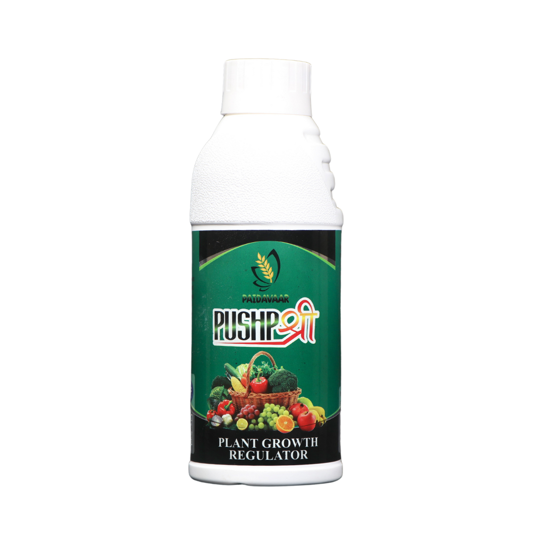 PAIDAVAAR DAILY GRAPHICS